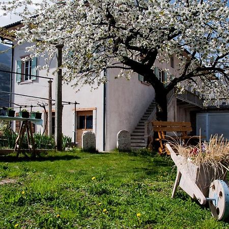 B&B La Fosina Mezzolombardo Zewnętrze zdjęcie